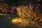 Plug & Shine Sting - LED-tuinspots - insectvriendelijk IP67 2200K 3x6,3W 75VA - Antraciet (set van 3)