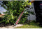 Metabo HS 18 LTX 65 - Snoerloze heggenschaar - 65 cm meslengte - 2,3 kg