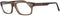 Men'Spectacle frame Dsquared2 DQ5103-093-52 Brown (Ø 52 mm) (ø 52 mm)