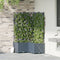 vidaXL - Tuinplantenbakken - met - Waterreservoir - 3 - stuks - Lichtgrijs