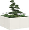 vidaXL - Plantenbak - 80x80x40 - cm - koudgewalst - staal - wit