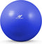 Rucanor Fitness Gymbal Met Handpomp 90 Cm Pvc Blauw