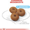 Royal Canin Maxi Starter Mother & Babydog - Puppy-Hondenvoer - 4 kg
