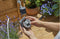 GARDENA Besproeiingscomputer Flex - Automatische irrigatie - Voor balkon of terras