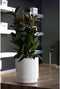 Zelfwaterende bloempot Plastiken 4126 Wit (Ø 26 cm)