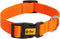 Hondenhalsband Dingo 14757 Oranje 49 cm 31 cm