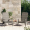vidaXL - Tuinstoel - Adirondack - poly - rattan - grijs