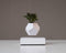 LYFE Planter - Zwevende plant - Wit