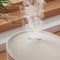 Duux Neo - Luchtbevochtiger - 5L watertank 500 ml/u - Greige