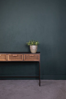 PTMD Succulent Plant Agave Prikker - 18 x 15 x 26 cm - Groen/Bruin