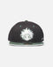 My Hero Academia - MHA Snapback Pet - Zwart/Groen