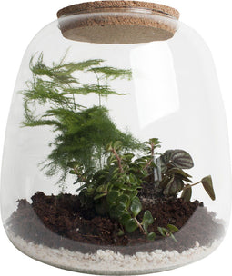 Ecosysteem ‘Green feathers’ met verlichting - Broekhof Adding Value - Groene plant- Hoogte 25 cm