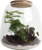 Ecosysteem ‘Green feathers’ met verlichting - Broekhof Adding Value - Groene plant- Hoogte 25 cm