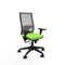 Piqueras y Crespo 3D066N0 - Bureaustoel - Verstelbare hoogte met armleuning - Pistache