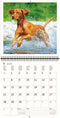 2026 Kalender schrijven 30 x 30 honden - gratis 2025