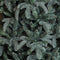 Triumph Tree kunstkerstboom deluxe abies nordmann maat in cm: 230 x 160 forest blue - FOREST BLUE