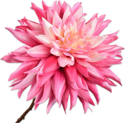 Silk-ka Kunstbloem-Zijden Bloem-Kunsttak Dahlia Steel Roze 65 cm