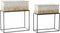 Plantenbakkenset DKD Home Decor 53,5 x 26 x 60 cm Metaal (2 Stuks)