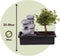 Plant in a Box - Bonsai boompje met Easy-care watersysteem én stromende waterval over Zen stenen - kamerplant - Hoogte 25-35cm