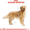 Royal Canin Golden Retriever - Adult - Hondenbrokken - 12 KG