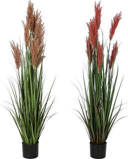 Decoratieve plant Home ESPRIT PVC Polyethyleen 45 x 45 x 150 cm (2 Stuks)