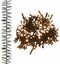 vidaXL - Lichtslinger - cluster - met - 1000 - LED's - warmwit - 11 - m - PVC