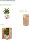 Ficus Robusta in ELHO Vibes Fold sierpot (botergeel) - Kwekerij J. de Groot - Groene plant- Hoogte 35 cm