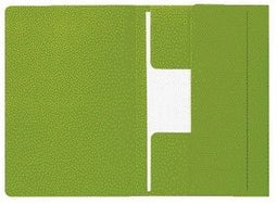 Djois - Dossiermap djois mamm folio 3k 250gr recy gn | 50 stuks