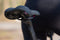 BBB Cycling LadySport - Fietszadel Dames - Anatomische uitsnijding - Zwart - 250 x 145mm