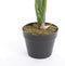 Mica Decorations Taro Kunstplant - H60 x Ø60 cm - Groen