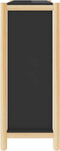 vidaXL - Schoenenkast - 57,5x33x80 - cm - bewerkt - hout - zwart