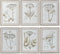 Schilderij DKD Home Decor Modern Botanische planten 45 x 2,5 x 60 cm (6 Stuks)