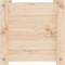 vidaXL - Plantenbak - 31x31x31 - cm - massief - grenenhout