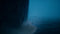 THQ Nordic REANIMAL - Collector's Edition - PS5 - Co-op horror avontuur (18+)