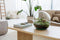 Growing Concepts Biodome terrarium - Biophytum plant 30cm / 30cm / Glas - Terrarium: Biodome, terrarium, biophytum