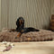 Scruffs Alpine - Hondenkussen - XL 120 x 75 cm - Taupe