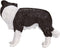 Mojo Farmland Border Collie - 387203