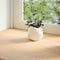 vidaXL - Vensterbanken - 2 - st - onbehandeld - 100x40x2 - cm - massief - eikenhout