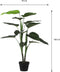 Mica Decorations Philodendron - Kunstplant - 100 cm - Groen - Zwarte pot