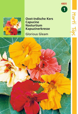 2 stuks Oost Indische Kers Gleam Dubbelbloemig