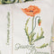Thea Gouverneur - Borduurpakket met telpatroon - 2074A - Voorgesorteerde DMC Garens - Wilde Bloemen Kussen - Aida - 41 cm x 41 cm - DIY Kit