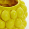 Light & Living Vaas Citroen - Polyresin - Geel - 25 x 18 x 25 cm (BxHxD)