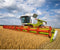 CLAAS Speelgoedrooier radiografisch LEXION 780 1:20