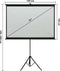 vidaXL - Projectiescherm - met - statief - 1:1 - 72''