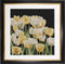 Thea Gouverneur - Borduurpakket met telpatroon - 3065.05 - Voorgesorteerde DMC Garens - Tulpen - Zwart Aida - 24 cm x 24 cm - DIY Kit