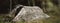 Highlander Blackthorn 2 trekkerstent - 2 persoons