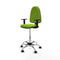 Piqueras y Crespo B1D05RF - Bureaustoel - Hoogteverstelbaar met armleuning - Pistache