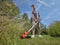 BLACK+DECKER BCSTA536B-XJ - Grastrimmer 36V - Brushless motor AFS automatische draadtoevoer - 33cm (1 stuk)