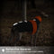 Oranje Winterjas voor Greyhounds en Lurchers met Reflecterende Strepen