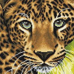 Crystal Art Kit | Diamond Painting Leopard